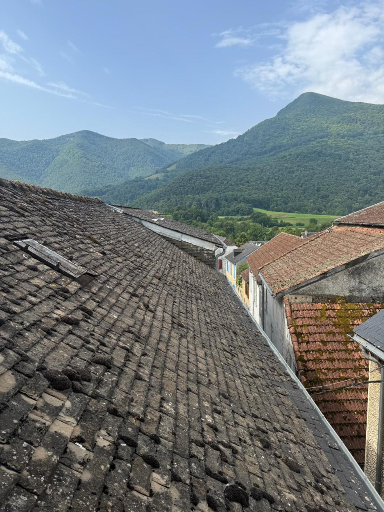 Les Maisons Des Pyrenees - Lourdes Saint-Pe-de-Bigorre Экстерьер фото